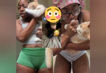 Panties, Dogs, and a Brand New Cat—This Girl’s Bed is a Zoo!