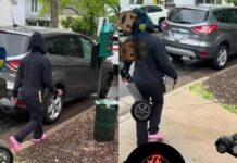 Ex-Girlfriend in Savage Fenty Outfit Wreaks Havoc: Car Destroyed in Shocking Scene