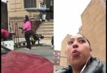 She Couldn’t Believe Her Eyes—NYC Gyatt Sighting Goes Crazy