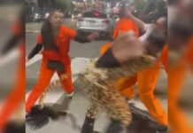 Street Fight Madness: Sis Tried to Help and Got Done Dirty by a Wig!