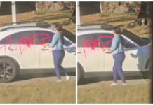 Caught on Camera: Woman Vandalizes Car in Broad Daylight
