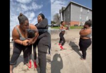 Sis Let Her Get Under That Arm—Fight Was a Wrap After That!