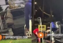 Cleveland Men Intervene to Stop Woman’s Assault in Viral Video