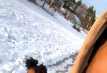 Detroit Driver Steps In: Helps Little Girl Walking Alone in the Snow
