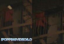 She Brought Someone a Laptop, Got Kicked Out, and Now She’s on the Fire Escape Like, “Open the Door!” 😂