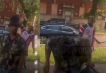 Dude Took a 2×4 to the Head—Sounded Like a Cannon!