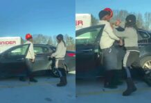 Fights: I’m Luigi, Hello, I’m Mario😆