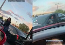 When You Meet Your Soulmate… in the Middle of a Road Rage Showdown. 😂🛣️