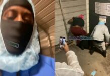 Feathered Frenzy: Shocking Fight Erupts at Chicken Plant