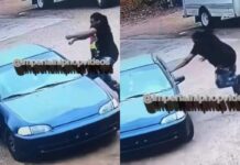 Youngins Take OG’s Civic for a Joyride, Leave It Abandoned—OG Pulls Up and Gets His Whip Back!