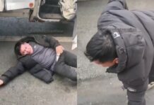 Box Truck Slams Into Crib, Driver Stumbles Out Looking Faded as Police Hit the Scene!